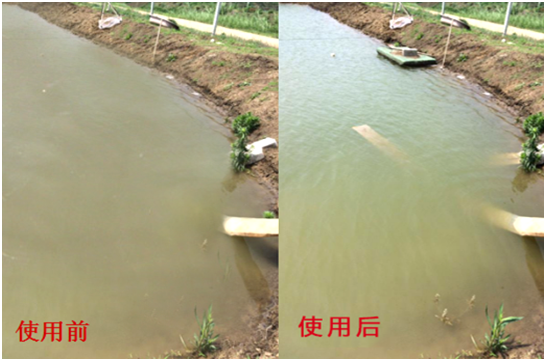 渾濁水、對蝦吃料差怎么處理? 渾濁水、對蝦吃料差怎么處理?